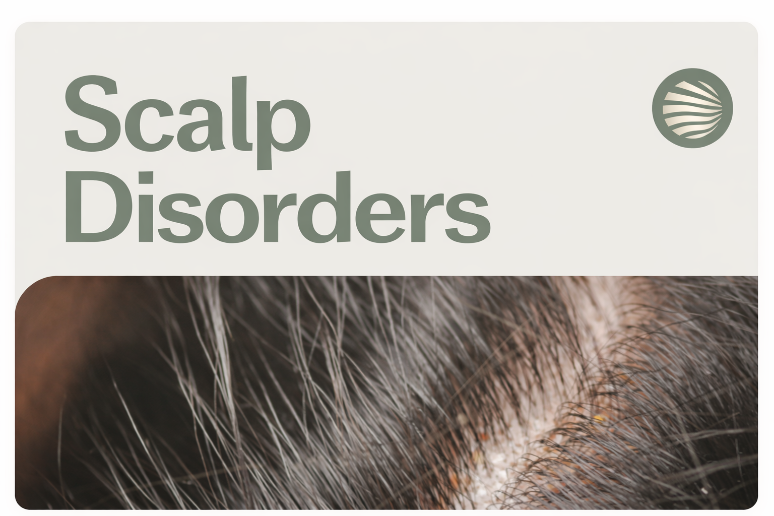 Scalp Disorders – Specialist Dermatology Care