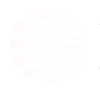 ia-derm-hor-logo 5